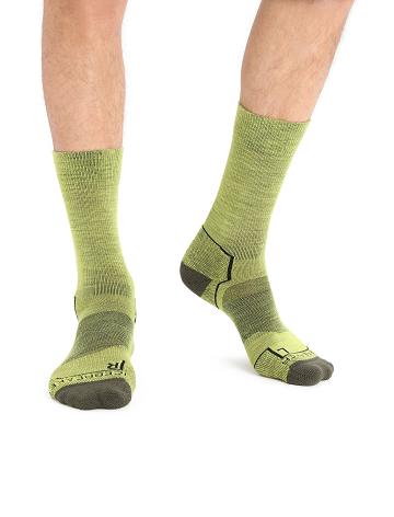 Men's Icebreaker Merino Hike+ Light Crew Socks Shine / Loden | CA 1907YXFU